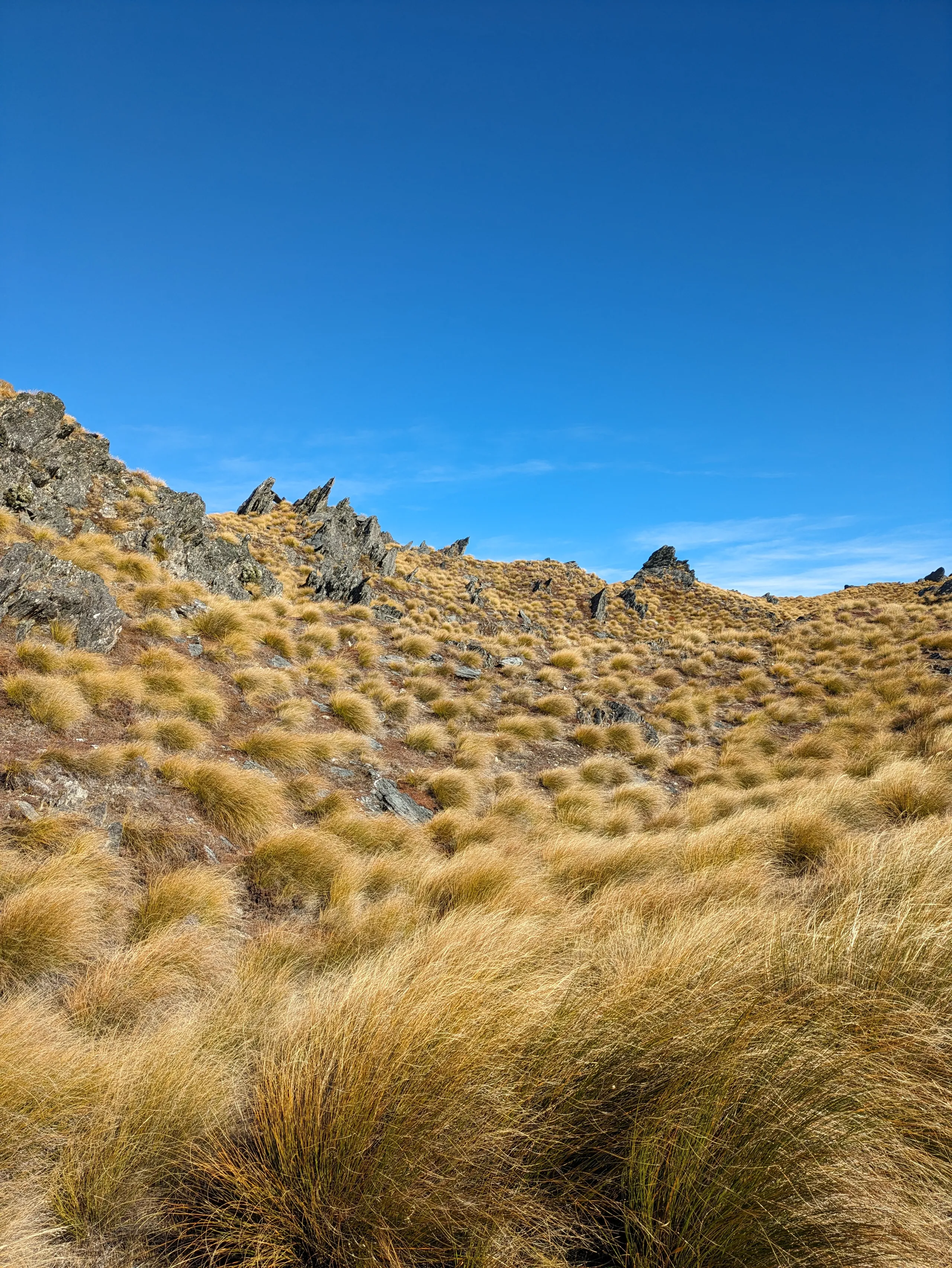 Dramatic rock and tussock scenery along the tops